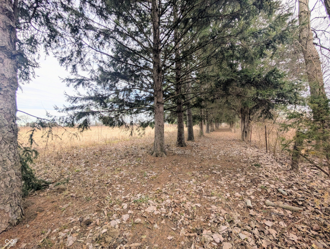 Listing Image 67