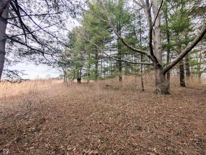 Listing Image 68