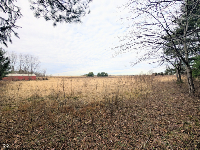 Listing Image 69