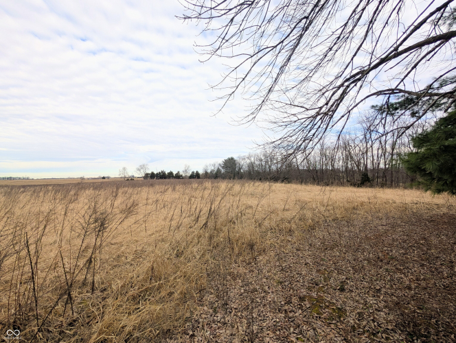Listing Image 70