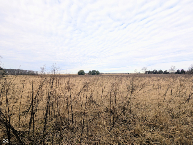 Listing Image 71