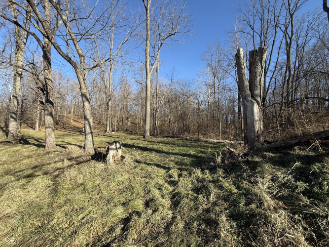 Listing Image 31