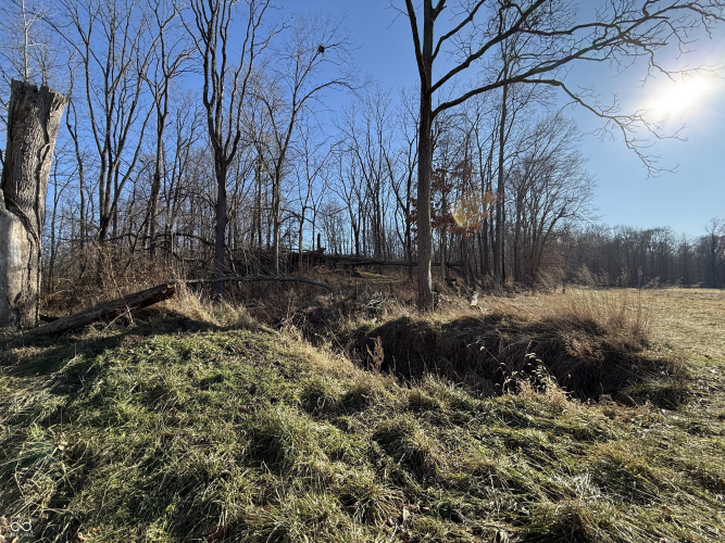 Listing Image 32