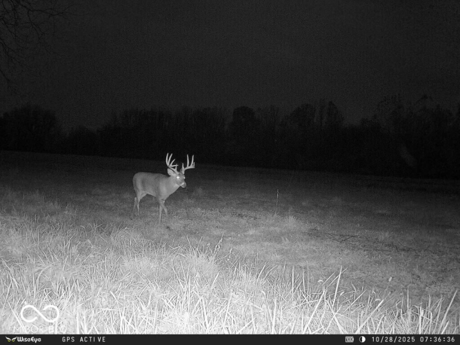 Listing Image 64