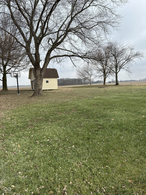 Listing Image 32