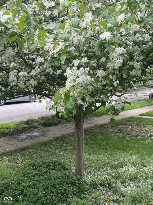 Listing Image 56