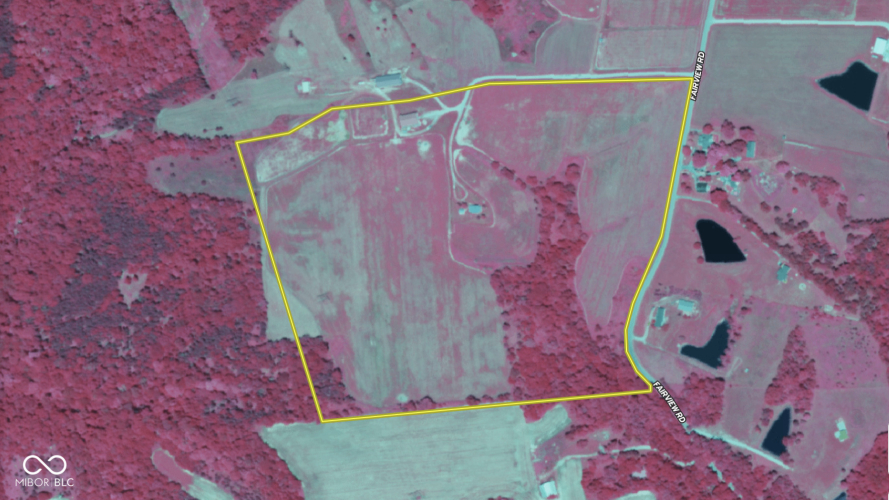 Listing Image 77