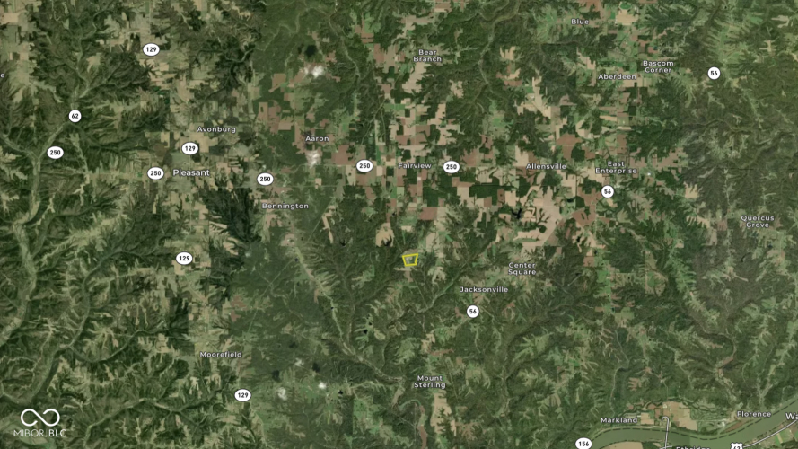 Listing Image 83