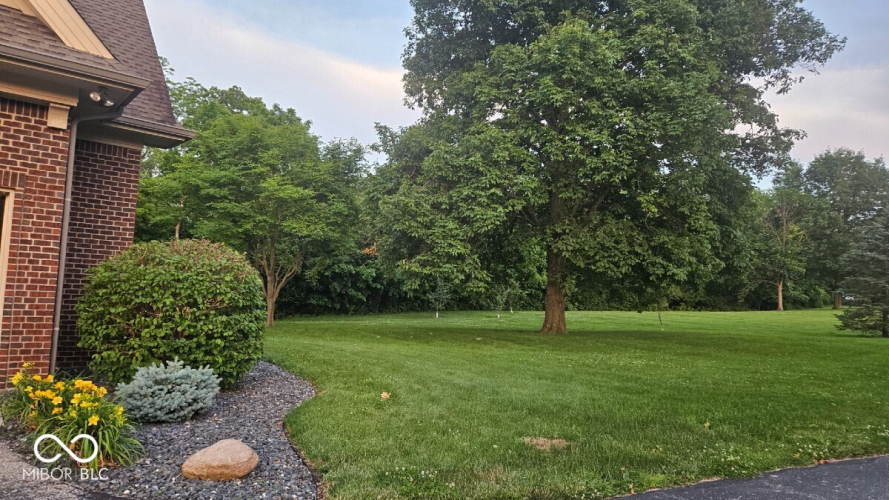 Listing Image 77