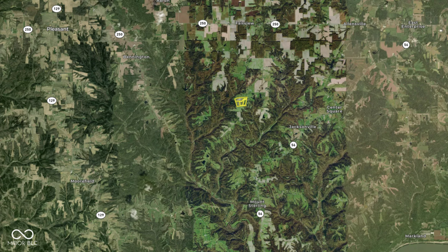 Listing Image 57