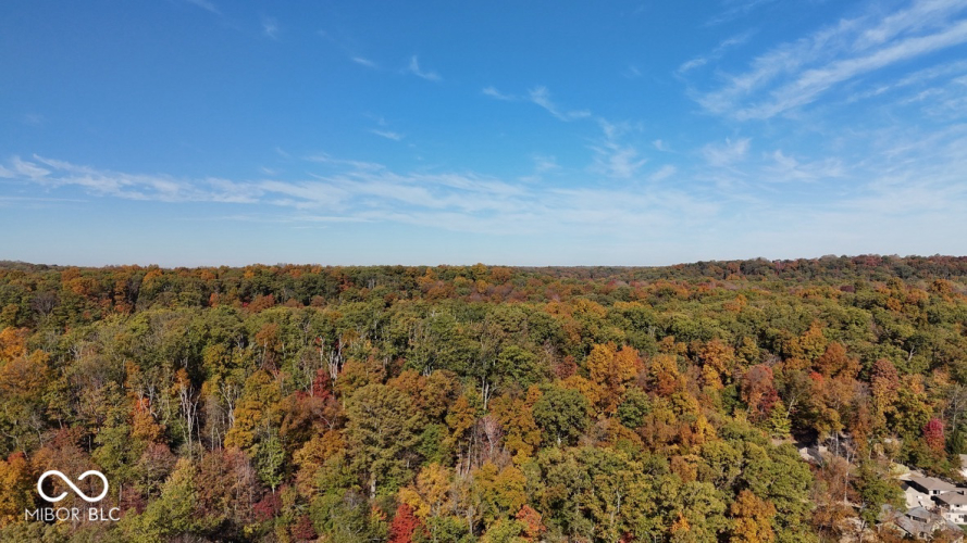 Listing Image 64