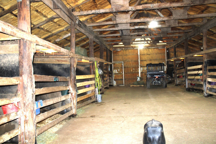 Listing Image 38