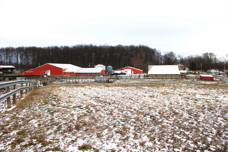 Listing Image 55
