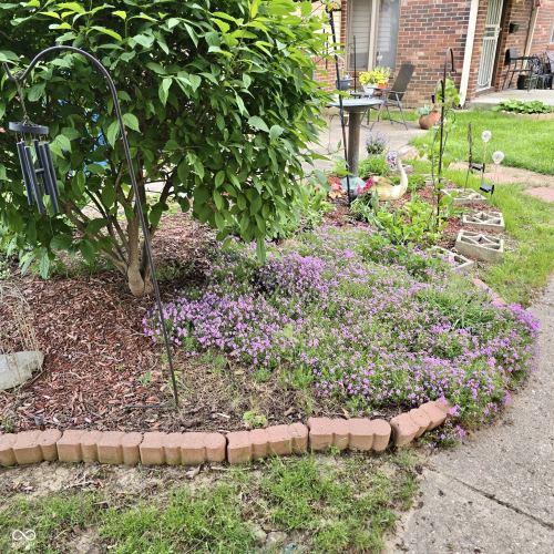Listing Image 25