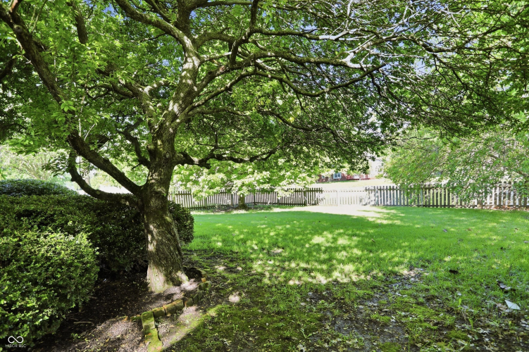 Listing Image 55