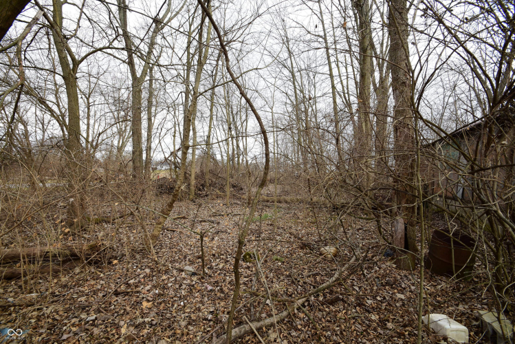 Listing Image 16