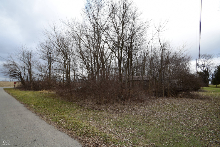 Listing Image 18