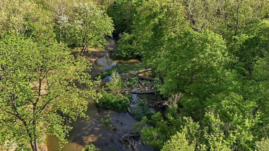 Listing Image 61