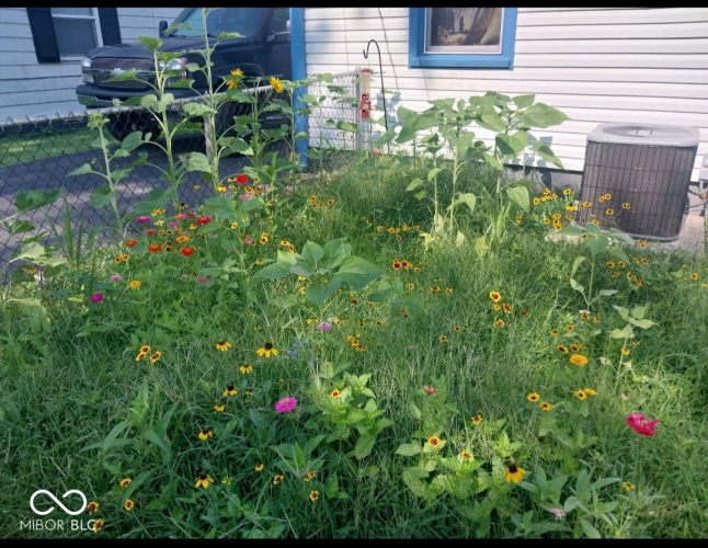 Listing Image 15