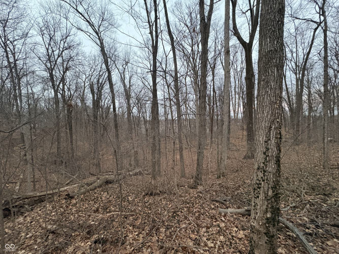 Listing Image 32