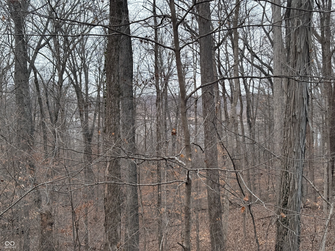 Listing Image 33