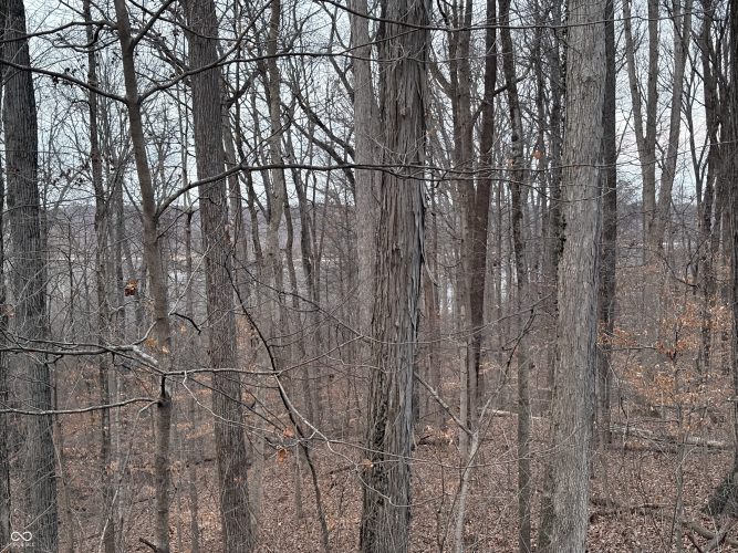 Listing Image 34