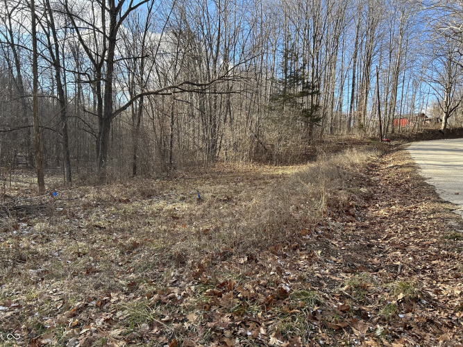 Listing Image 8