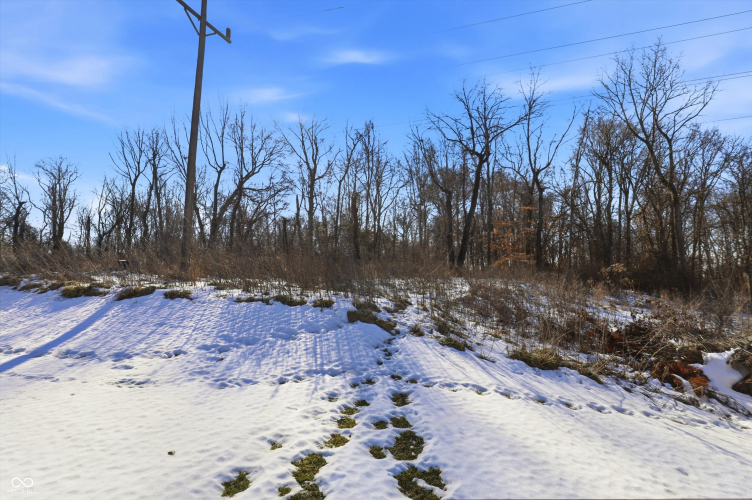 Listing Image 50