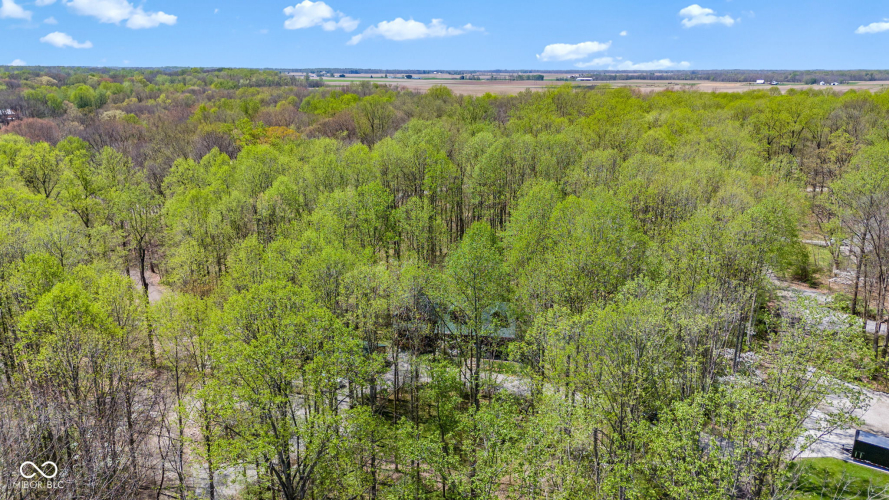Listing Image 64