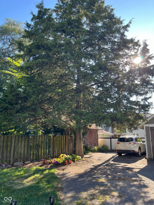 Listing Image 27