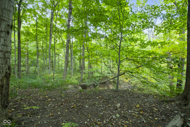Listing Image 37