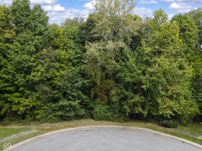Listing Image 56