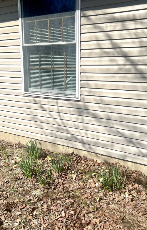 Listing Image 34