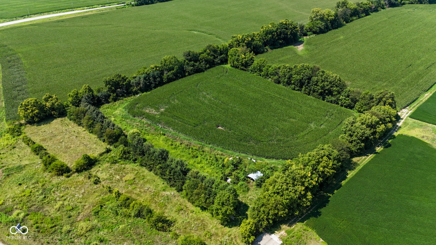 Listing Image 10