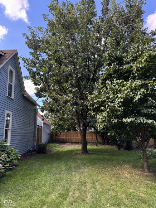 Listing Image 4