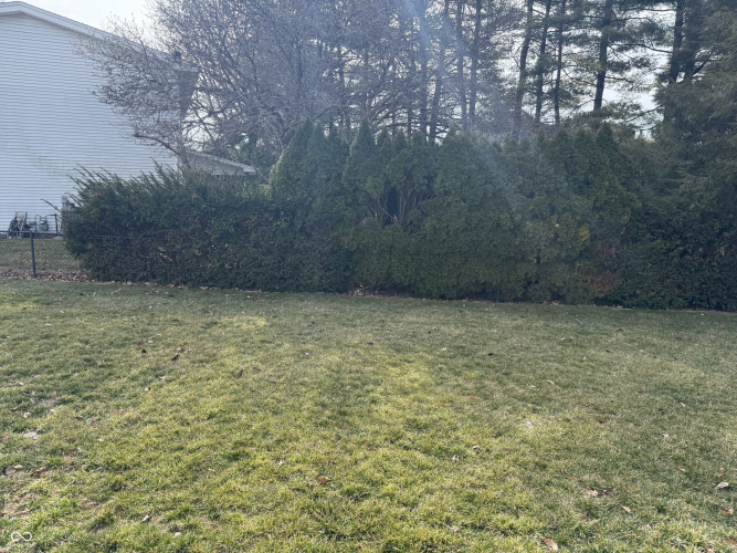 Listing Image 29
