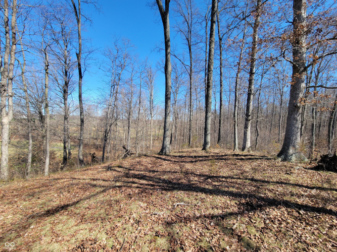 Listing Image 37