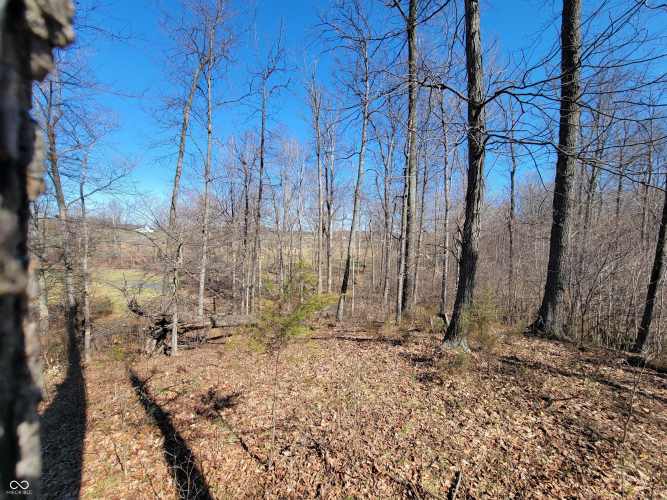 Listing Image 38