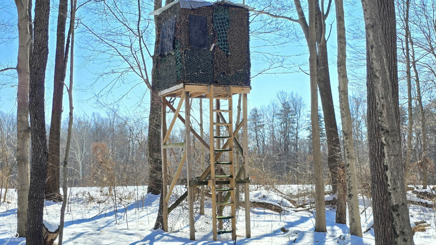 Listing Image 33