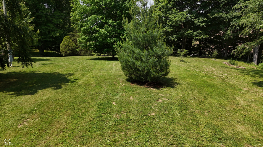 Listing Image 50