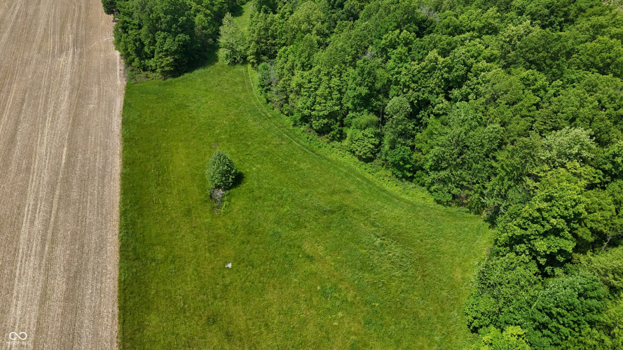 Listing Image 59
