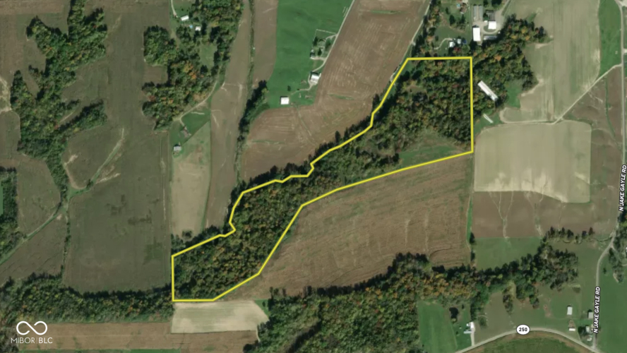 Listing Image 61