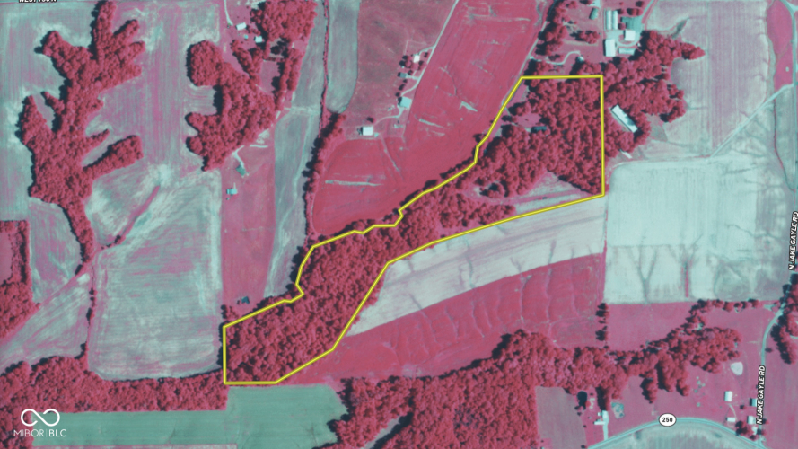 Listing Image 63
