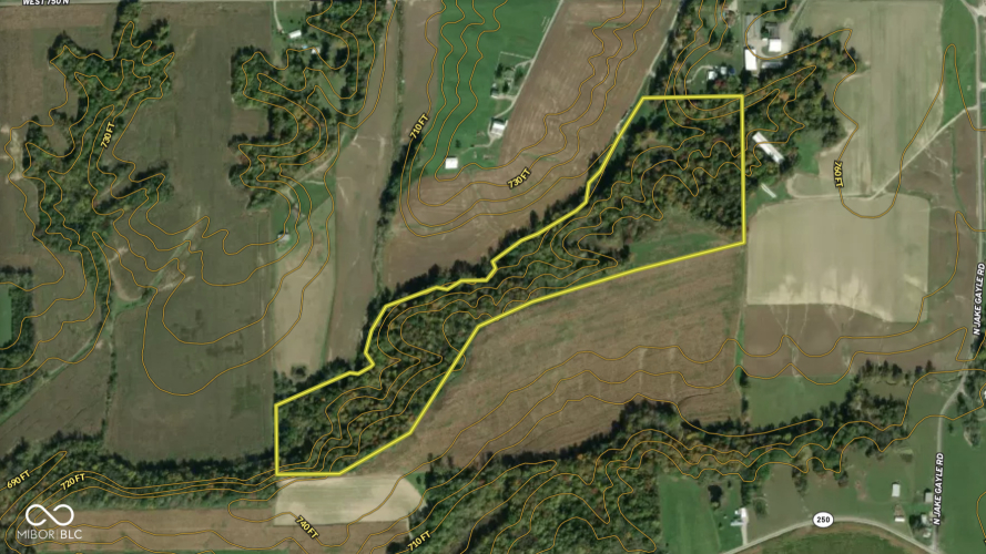 Listing Image 65