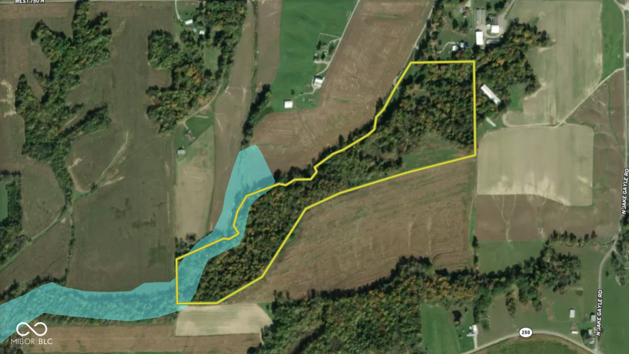 Listing Image 66
