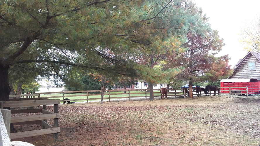 Listing Image 84