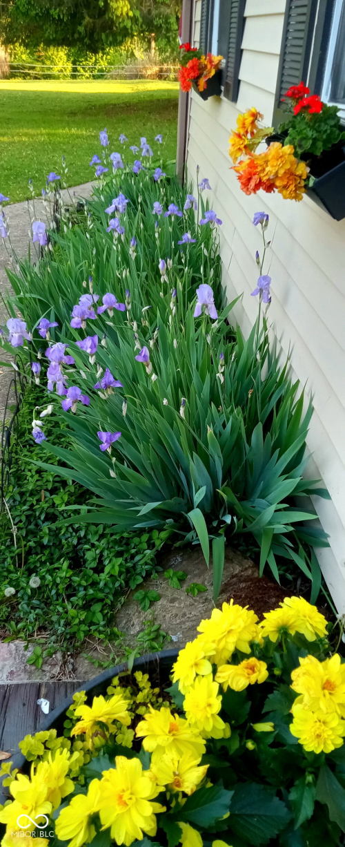 Listing Image 89