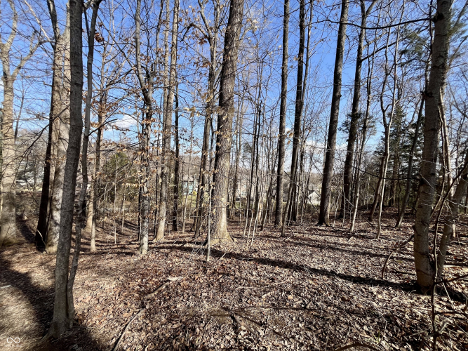 Listing Image 4