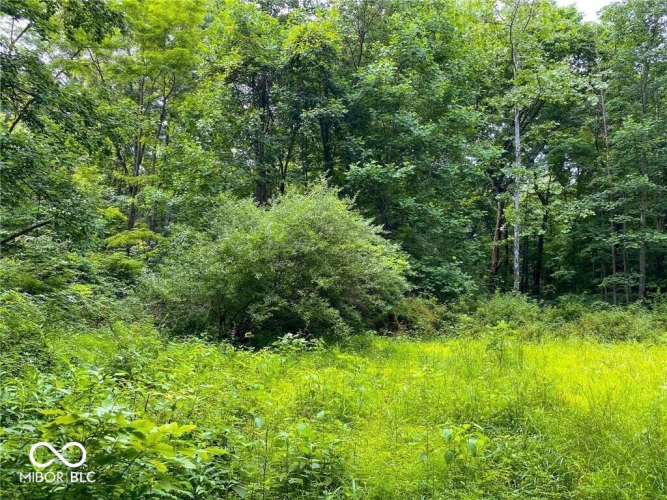 Listing Image 11