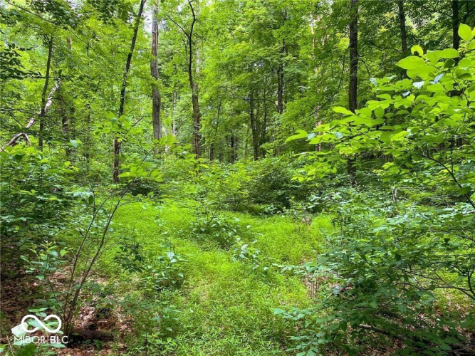 Listing Image 17